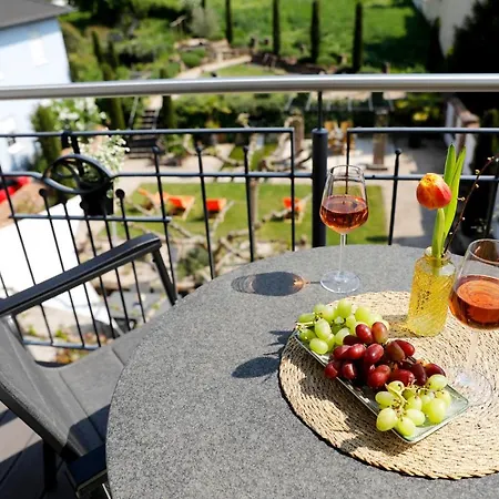 Casa Palatina Vinotel 3* Großkarlbach
