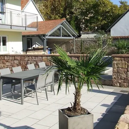 Casa Palatina Vinotel 3* Großkarlbach