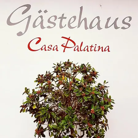 Bed & Breakfast Casa Palatina 3*